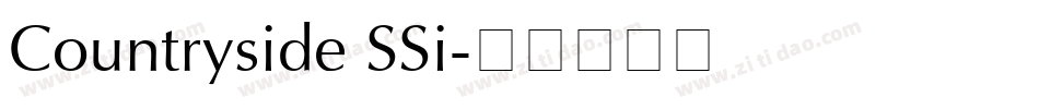 Countryside SSi字体转换